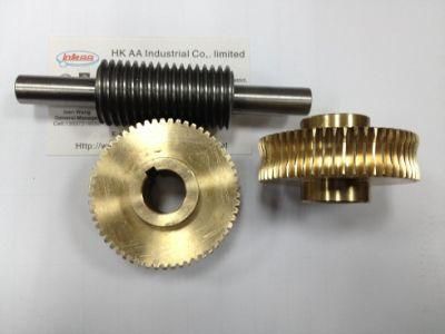 Precision Anti-Backlash Stainless Steel Worm Gear and Bronze Worms