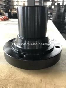 Customized Transmission Gear Ring Gear for Various Automotives