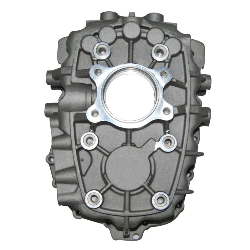 Custom Aluminum Alloy Gravity Die Casting Transmission Housing