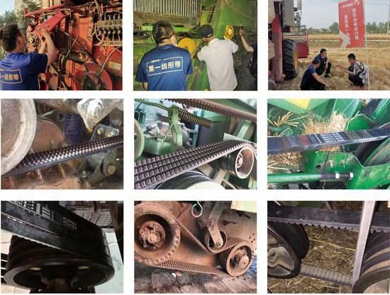 Highly Competitive Belt V Belts Non Cogged Raw Edge V Belt for Cat Machine