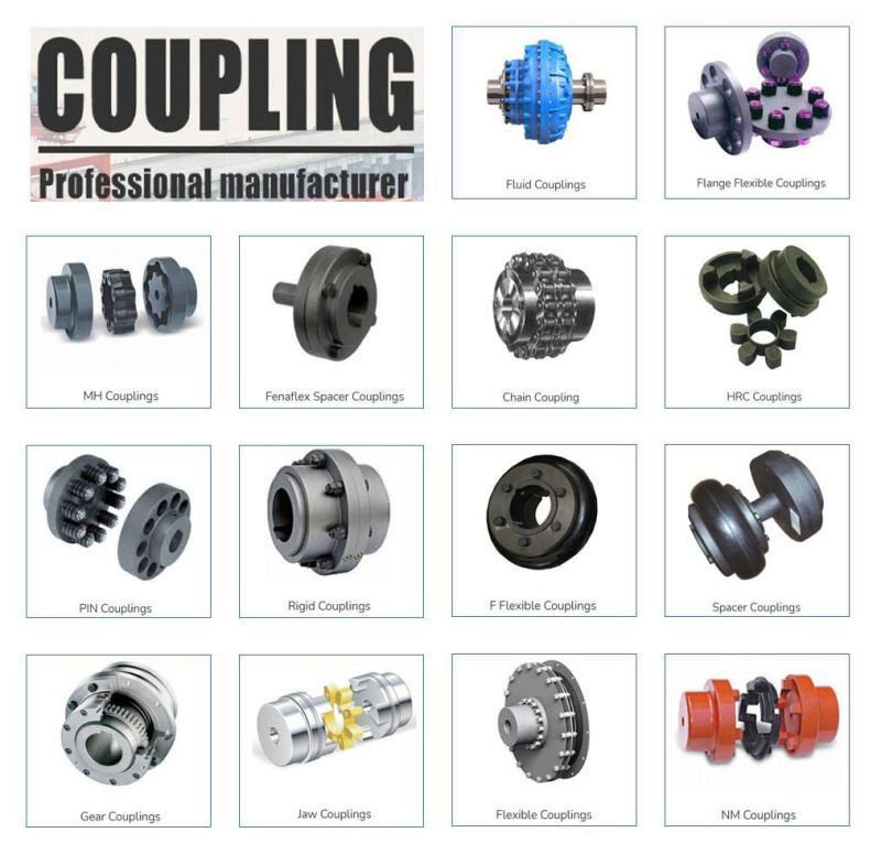 Stainless Steel Coupling Universal Joint Gear Roller Chain Fluid Pump Rubber Jaw Spider HRC Nm Flange Gear Spline Shaft Flexible Coupling