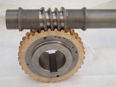 High Quality Cone Worm Gear