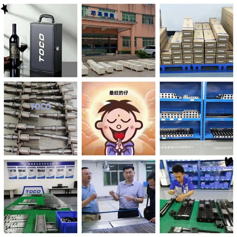 Heavy Load Capacity Transmission Parts Aluminum Linear Stage