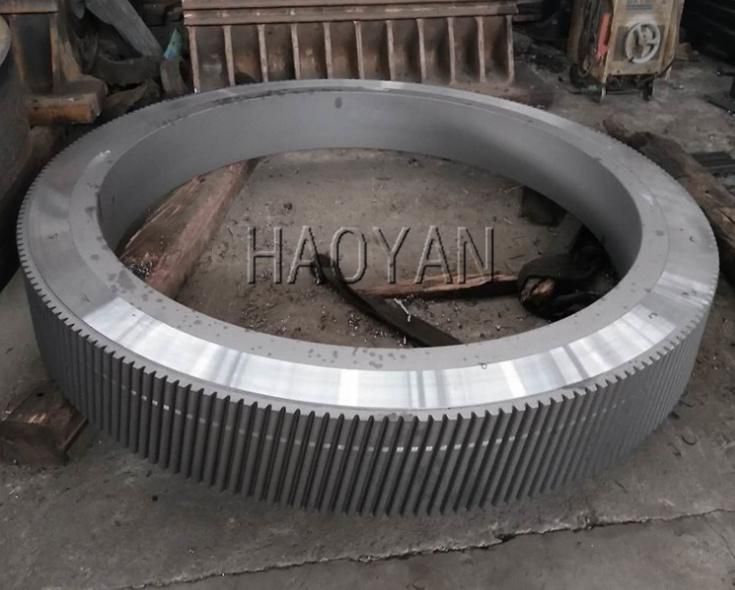 Forged Cast Gear, Stainless Steel Forging Gear