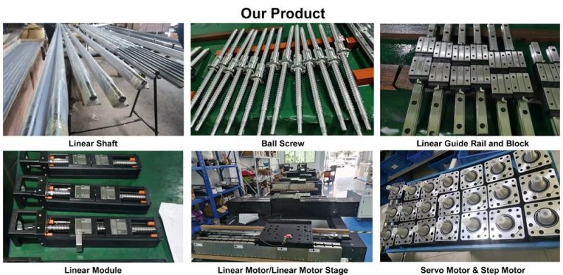 Higih Accuracy Linear Motion Guide Slider Bearing Linear Module for Printing Equipment