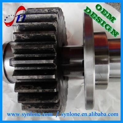 OEM Customized Forging with Machining Stainless Steel Spur Gear