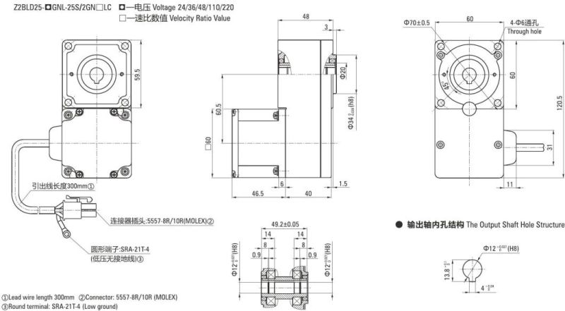 25W 60 Series of Brushless DC Gear Motors