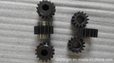 Small Straight Spur Gear for Conveyor