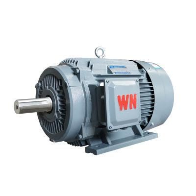 CCS Certificate Ie3 Preminum Efficiency 3-Phase Electric Motor for Marine and Ships or Offshore Installations