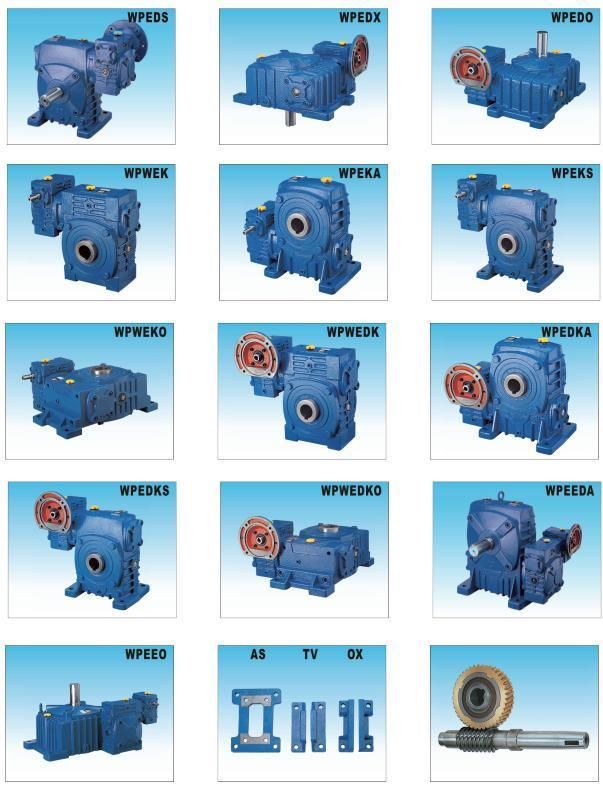 Gearbox Wp Series Wpwt Wpwv Speed Reducer