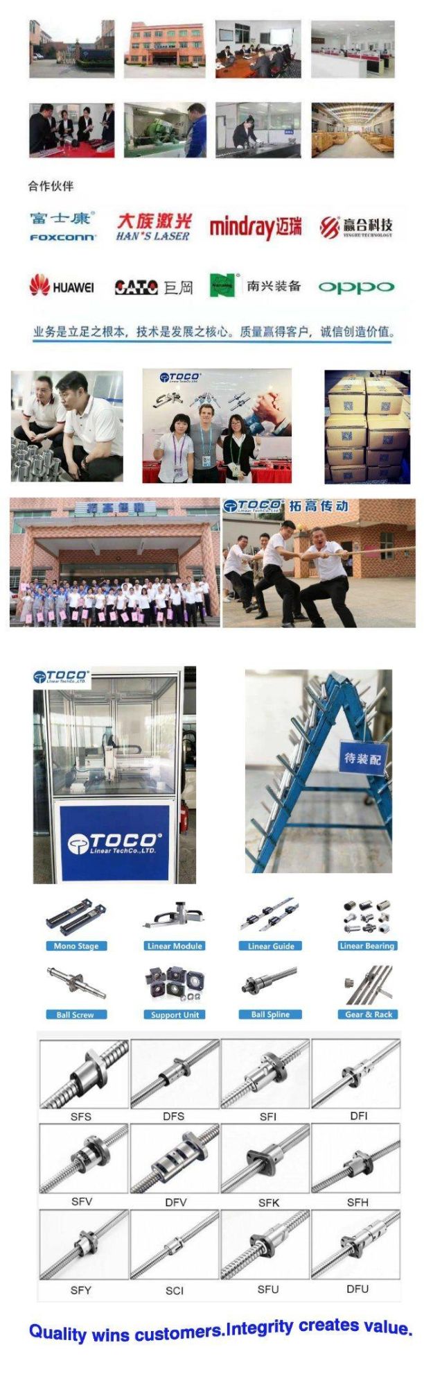 Toco Linear Guide Rail with Block Bearing Carriage