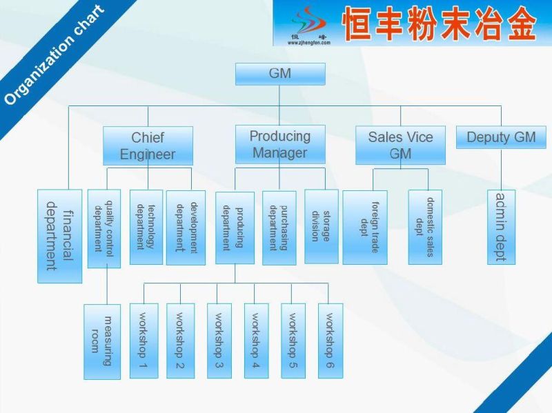 Powder Metallurgy Sintered Gear