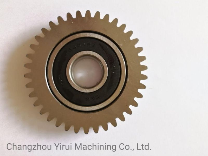 Small Straight Spur Gear for Conveyor