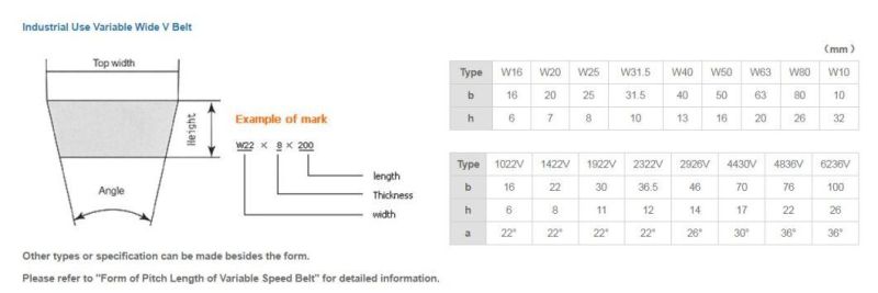 Variable Speed Belt 47X13X2240 for Industrial and Agriculture Use