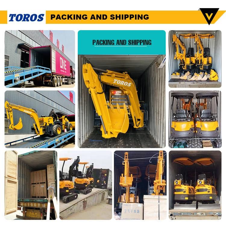 Crawler Drilling Rig Water Well Drilling Rig Machine Driven by Diesel Engine with 200m 300m Drilling Depth Pneumatic DTH