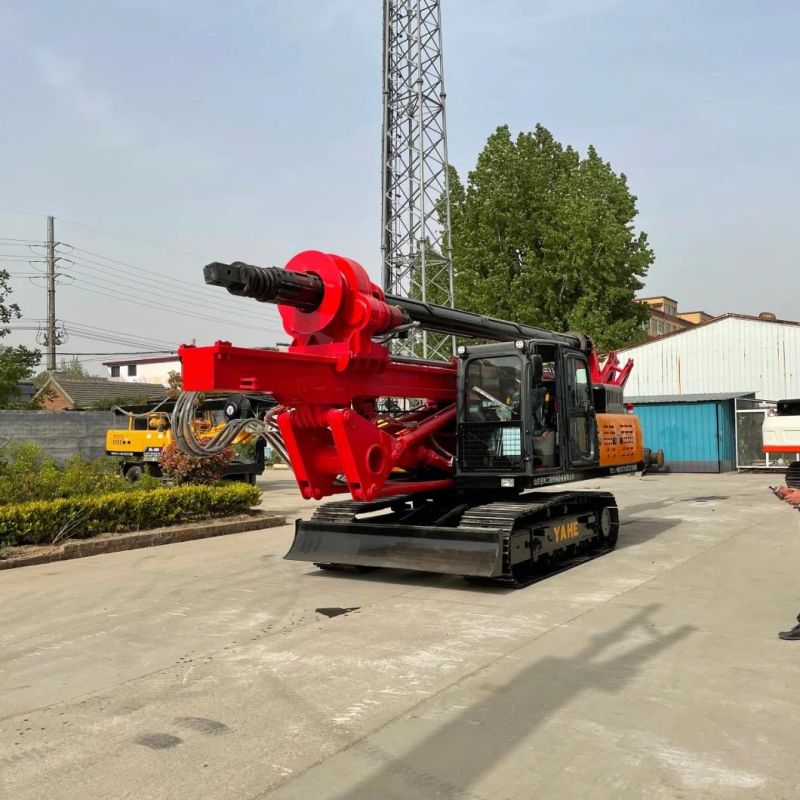 Engineering Rotary Drilling Rig in Low Price