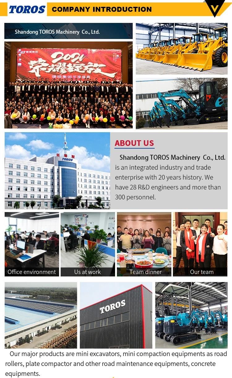 200m Depth Borehole Drilling Rig Water Well Drilling Rig Suitable for Both Air and Water Drilling