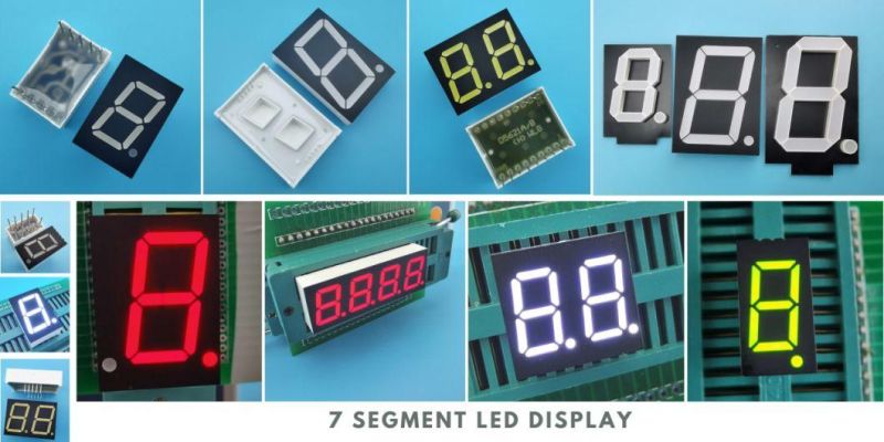 2.3 Inch Single Digit 7 Segment LED Display with RoHS From Expert Manufacturer