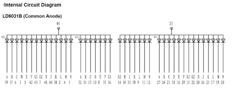 0.6 Inch 16 Segment LED Display with RoHS From Expert Manufacturer