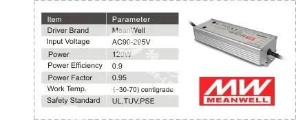 Petrol Station LED Canopy Light LED High Power Petrol Station Gas Station LED Canopy Light 120W