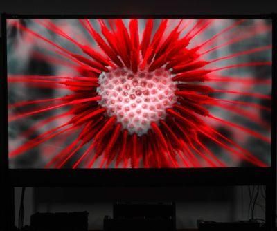 600*337.5mm P1.25 Small Pitch Gob LED Video Wall Display