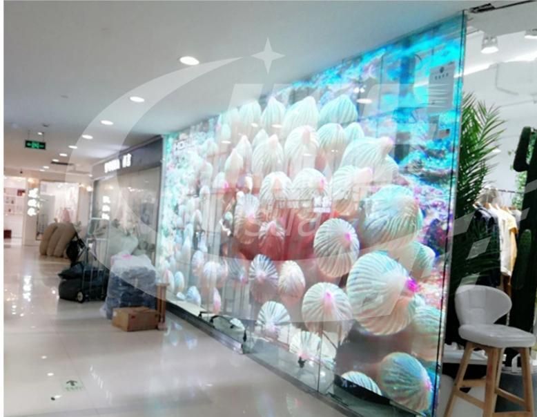 Outdoor Advertising P3.91 Transparent Waterproof LED Display Screen