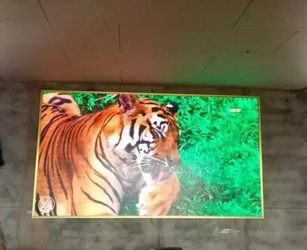 Waterproof P3.91 Outdoor Full Color LED Screen Rental LED Display