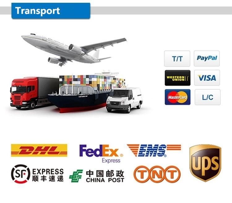 1/32 Scan ETL Approved Fws Cardboard, Wooden Carton, Flight Case Low Consumption Display LED Screen