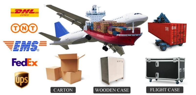 Indoor RoHS Approved Fws Cardboard, Wooden Carton, Flight Case Flexible LED Screen