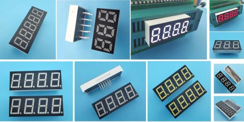 0.3 Inch 2 Digit LED 7 Segment Display with Seven Segment and Dp