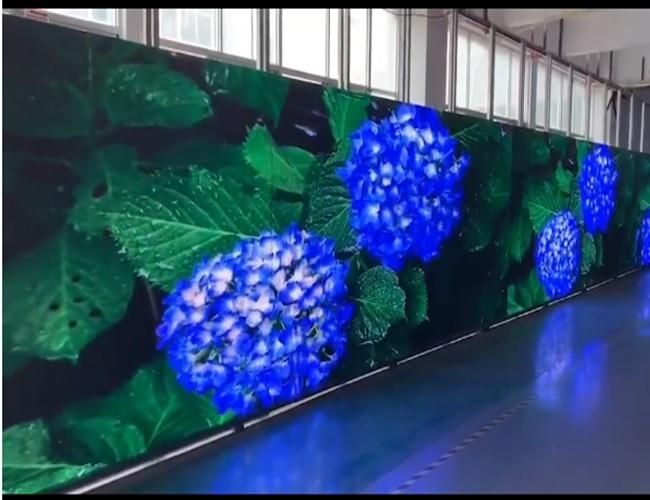 High Resolution Hot Sale P5 P6 Price Full Color Wall Panel Indoor LED Video Screen