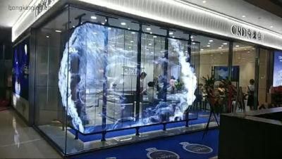 Transparent Indoor Outdoor LED Display Screen Signage for Advertising