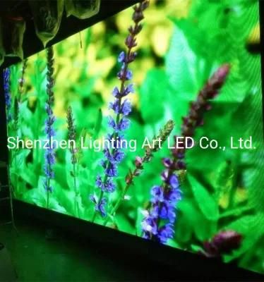 Indoor Fixed Module Advertising P2.5 LED Screen Display