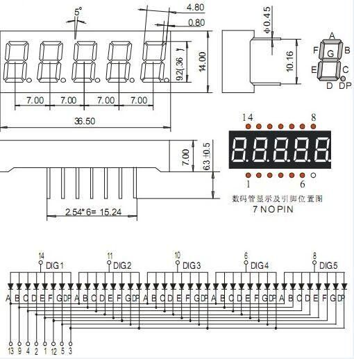 0.36 Inch 5 Digit 7 Segment LED Display with RoHS From Expert Manufacturer