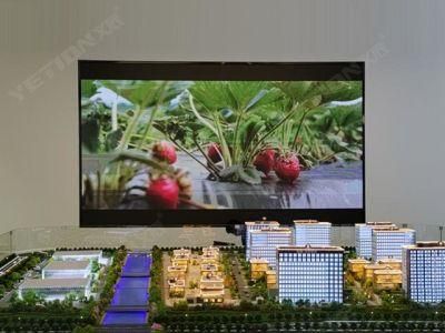 Fws CCC Approved Cardboard, Wooden Carton, Flight Case China LED Screen