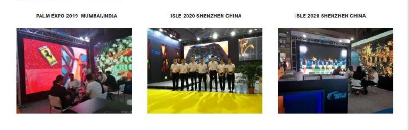 Transparent LED Display (LED Screen) P3.9-P7.8mm with High Brightness