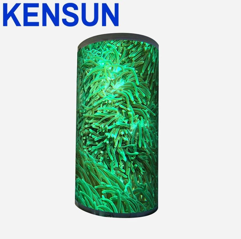 Flexible Curved LED Screen Customized 240*120mm P2 Indoor Flexible Curved LED Wall Display