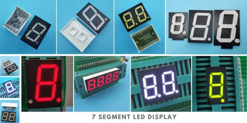 2.3 Inch Dual Color 7 Segment LED Display with RoHS From Expert Manufacturer