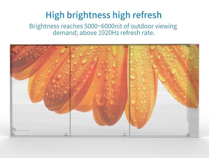 Video Advertising Glass Wall High Brightness Transparent LED Display Screen