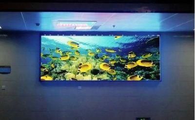 43, 264 Dots/Sqm RoHS Approved Die-Casting Aluminum Case+Flight Case Board LED Display Screen