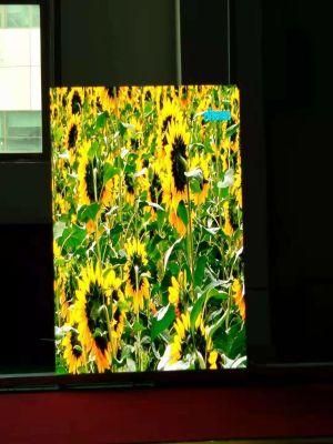 Indoor Full Color P2.5/P3 /P3.91 /P4.81 Big Back Stage LED Display Board