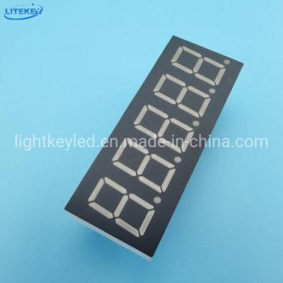 0.36 Inch 5 Digit 7 Segment LED Display with RoHS From Expert Manufacturer