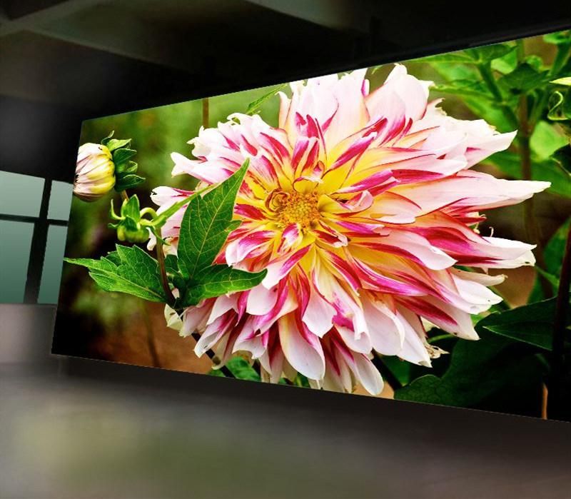 Outdoor Display P5 Video Screen SMD Module LED Display