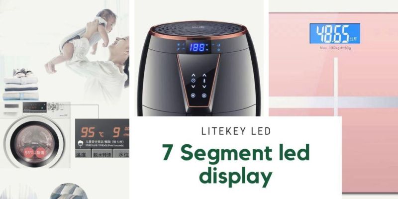 0.3 Inch 2 Digit 7 Segment LED Display with Seven Segment and Dp