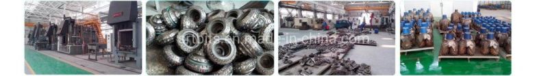 Mining Doloto PDC Diamond China Sale Dimater From 65mm to 245mm with Flat Sintering Body