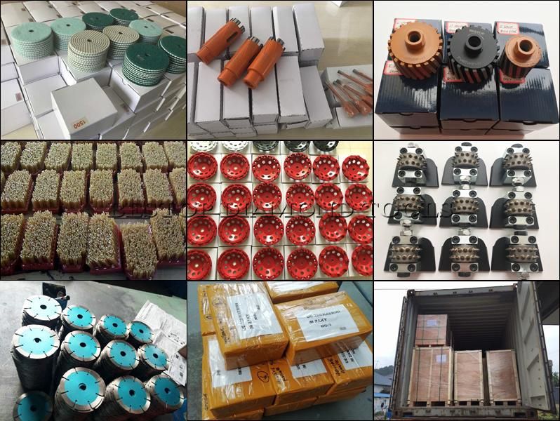 Stone Cutting Tools Customized Diamond Segments for Sandstone/Limestone/Basalt