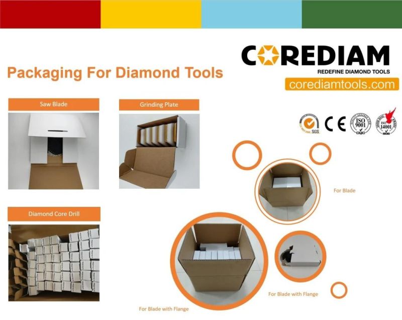 Premium Level 100/120# Redi Lock Grinding Sector/Grinding Plate/Diamond Tools