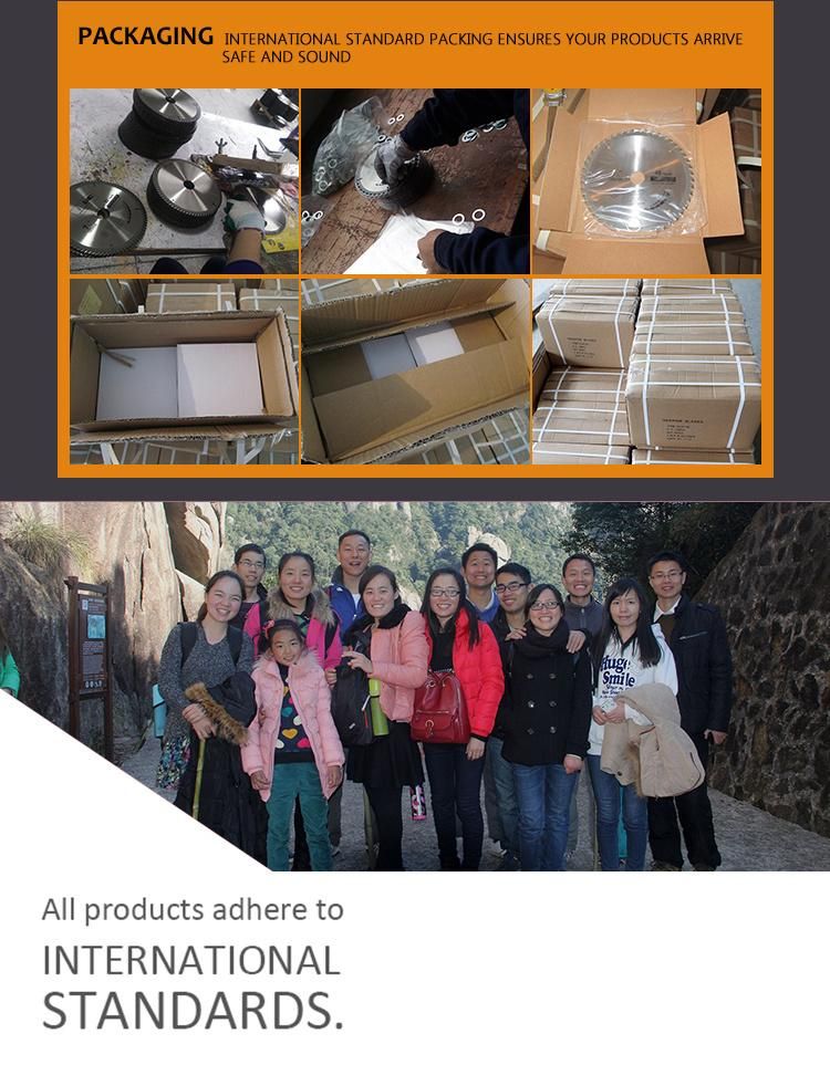 Hot Sale 13PCS Aluminium Case Set Oscillating Blades Kit