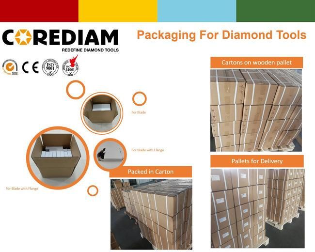 Diamond Grinding Head with High Quality Redi Lock Type 2 Segments