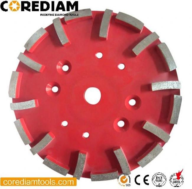 10 Inch Floor Grinding Disc/Floor Grinder/Grinding Dics/Grinding Plate/Diamond Tool